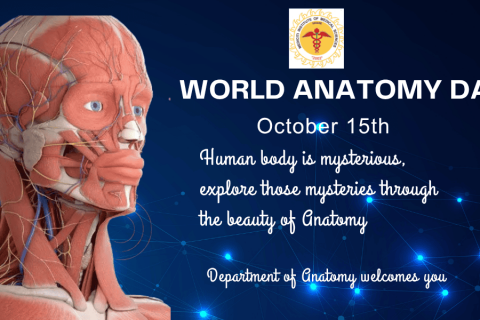 anatomy