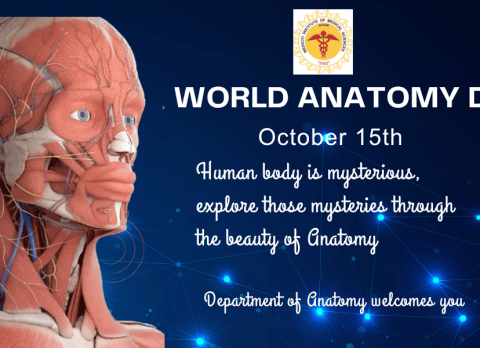 anatomy