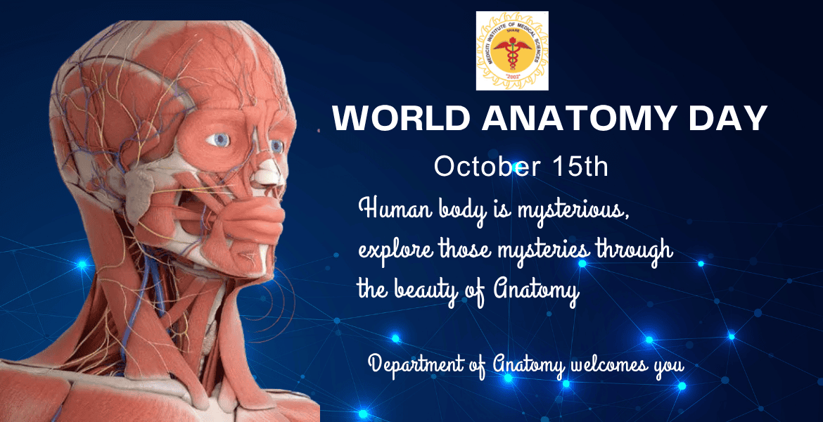 anatomy