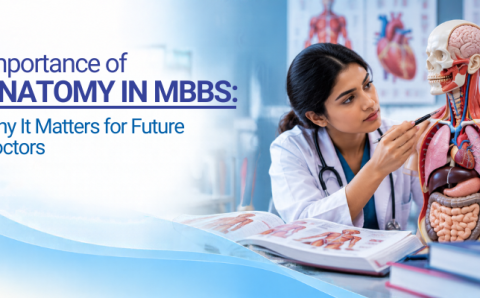 Importance of Anatomy in MBBS_ Why It Matters for Future Doctors